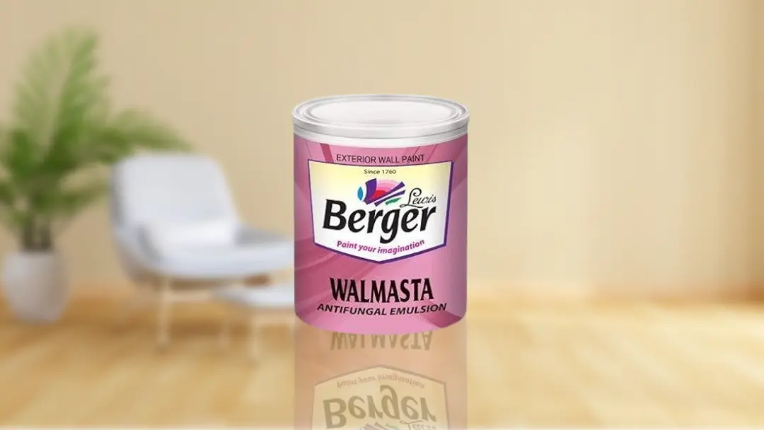 Berger Paint Coat