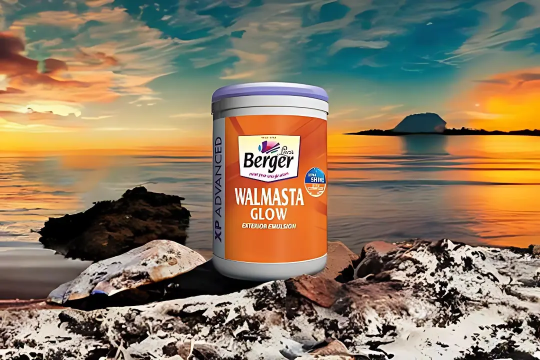 Berger Paint Pro