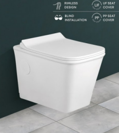 Wooden Toilet